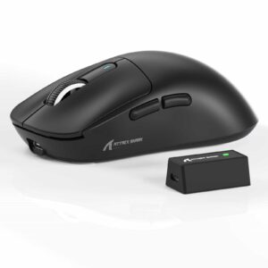 Mouse-parastech